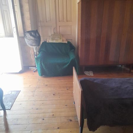Levani'S Guesthouse Zugdidi ภายนอก รูปภาพ